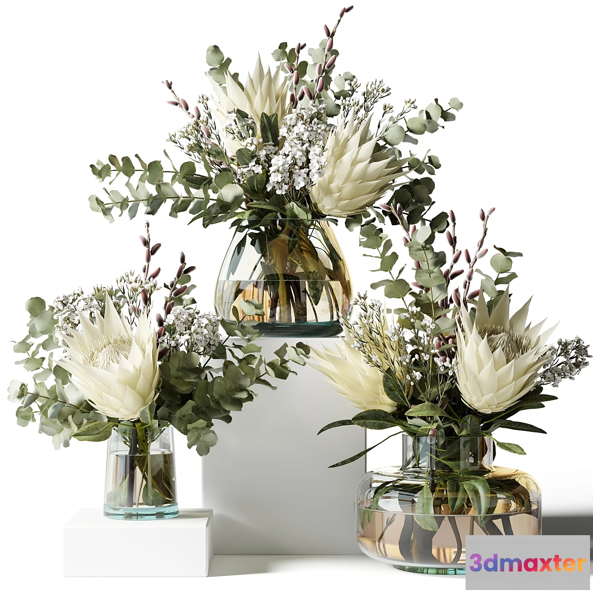 1297079 - Bouquet with proteas and eucalyptus 3D Max