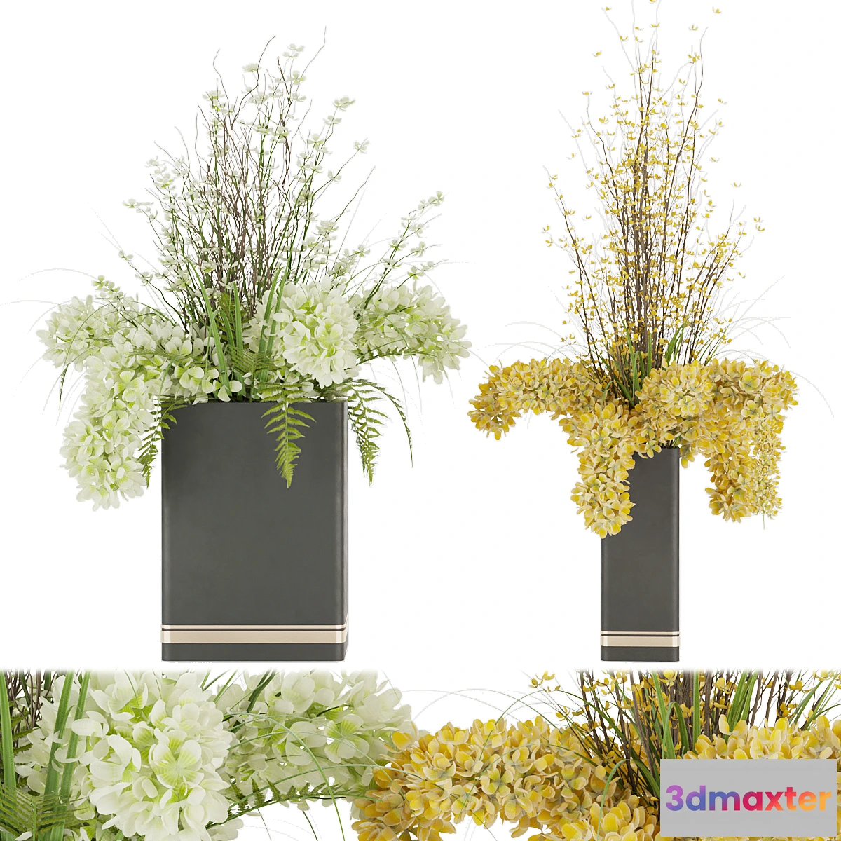 1297099 - Collection plant vol 56 3D Max