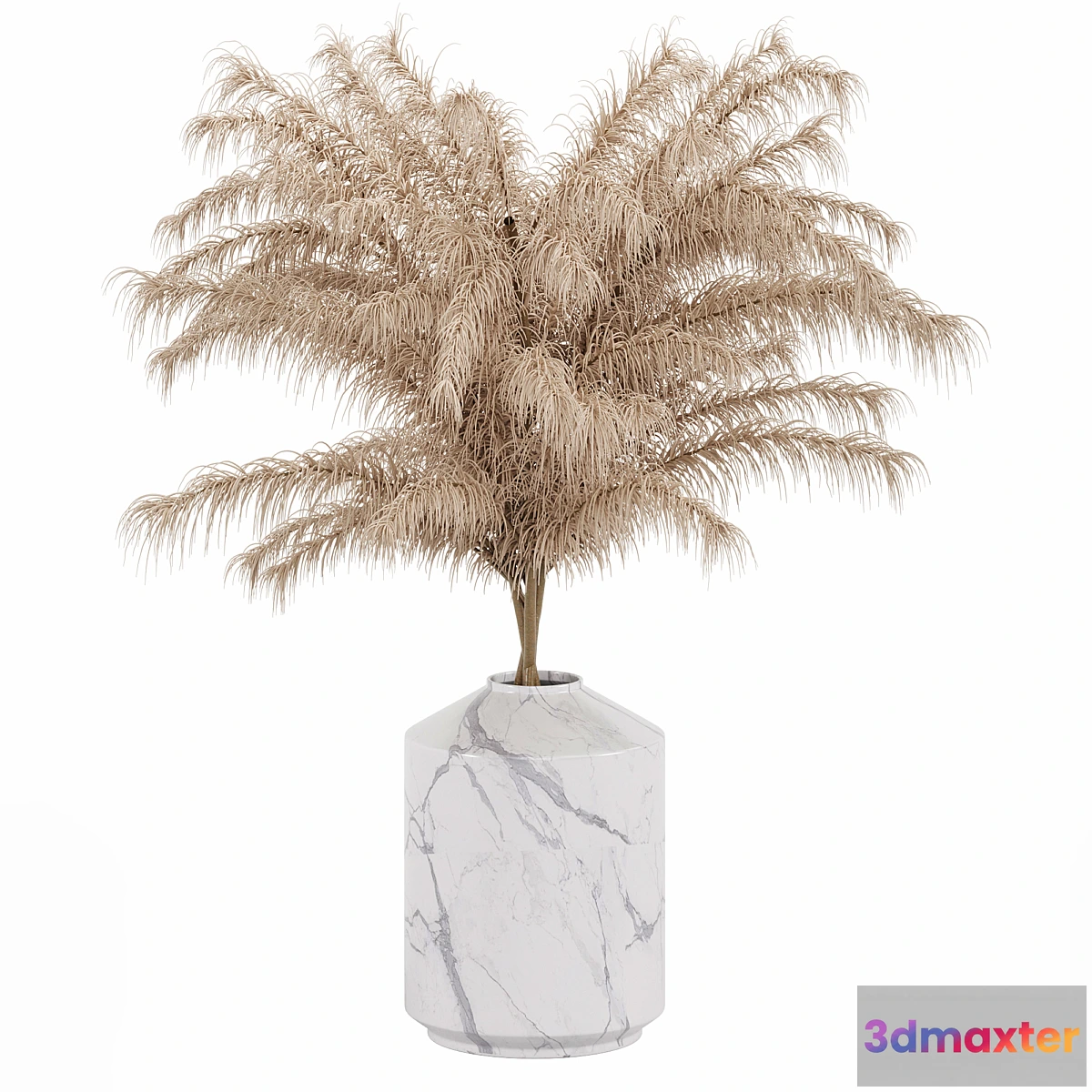 1298967 - Dry Flower 3D Max