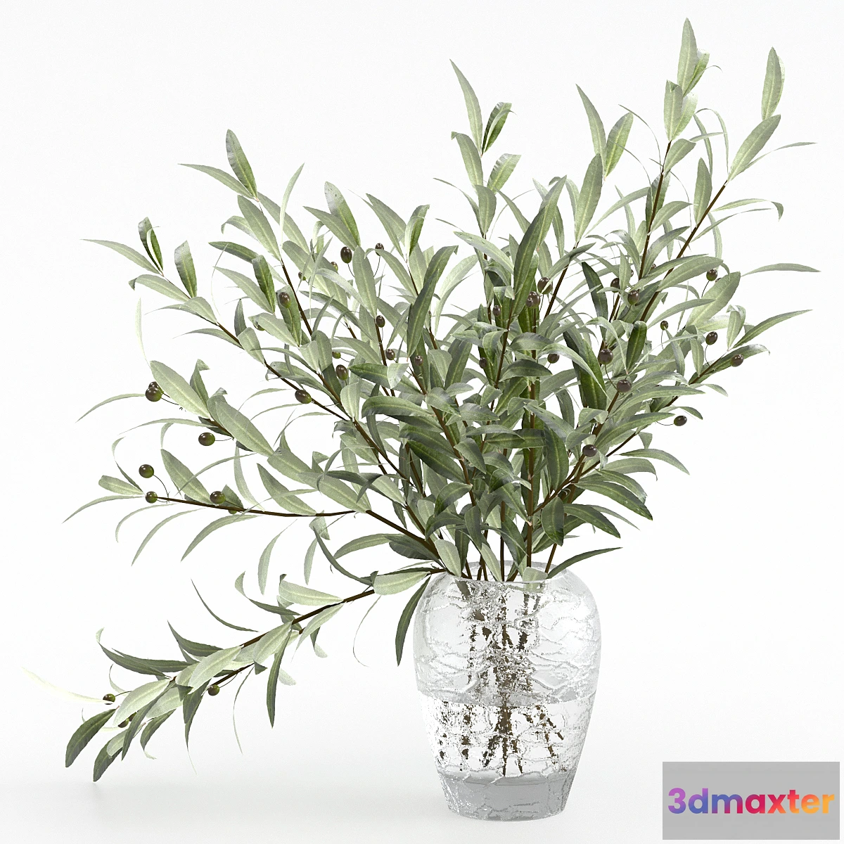 1301435 - Olive branches in a vase 3D Max