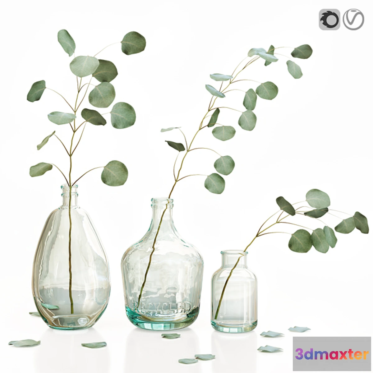 1303494 - Eucalyptus 2 3D Max