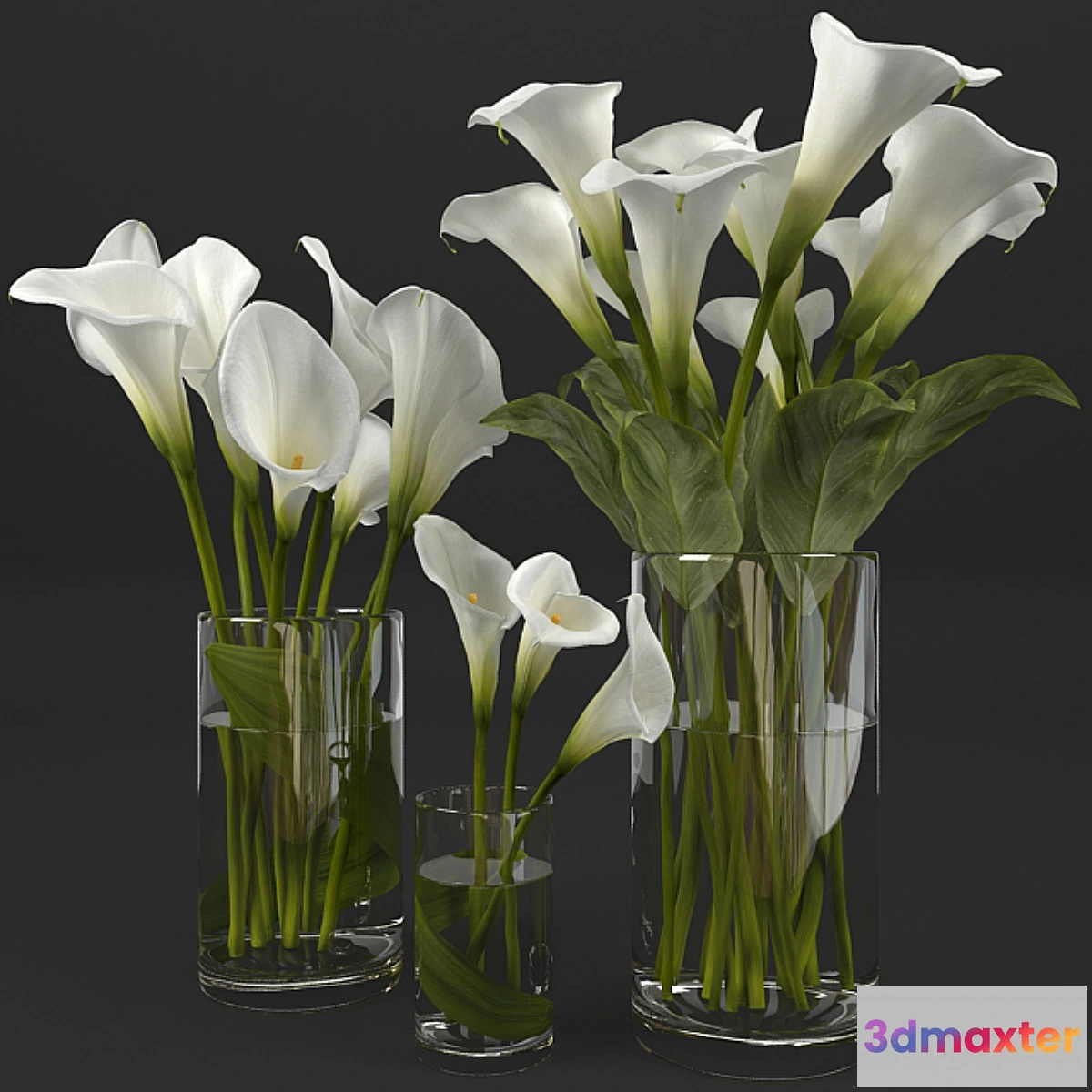 1309733 - Calla lily 3D Max