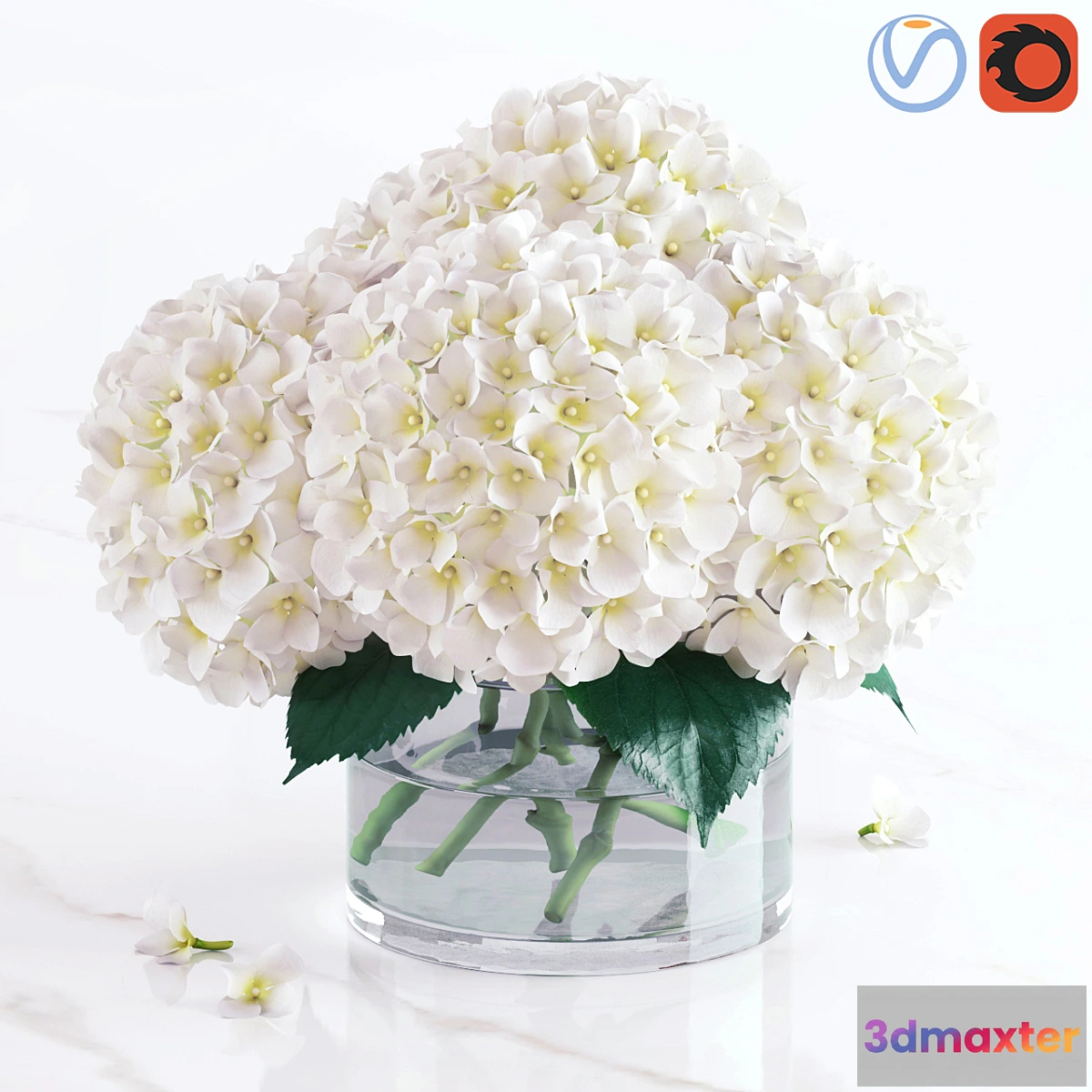 1313629 - White hydrangea bouquet 3D Max