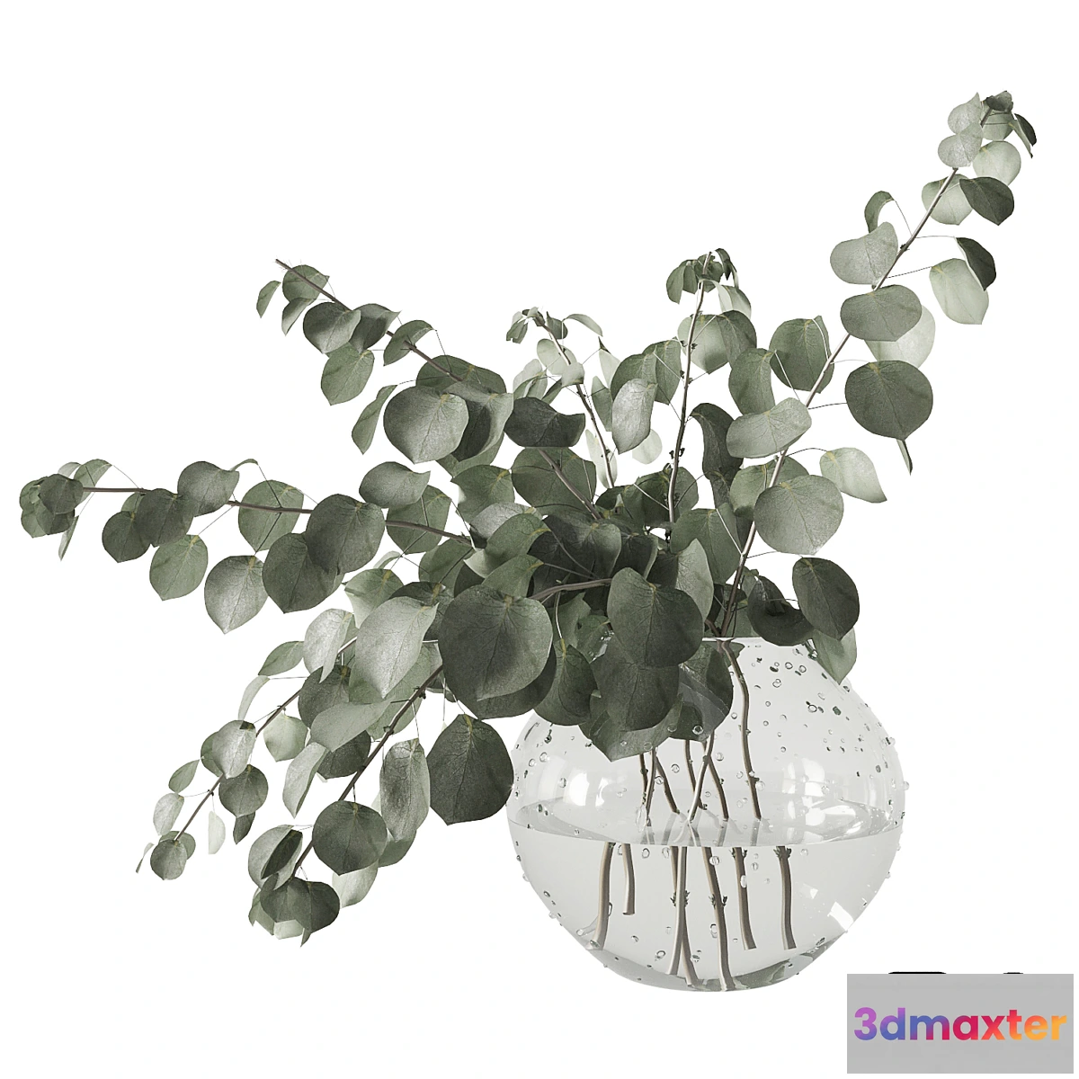 1317470 - Eucalyptus bouquet 3D Max