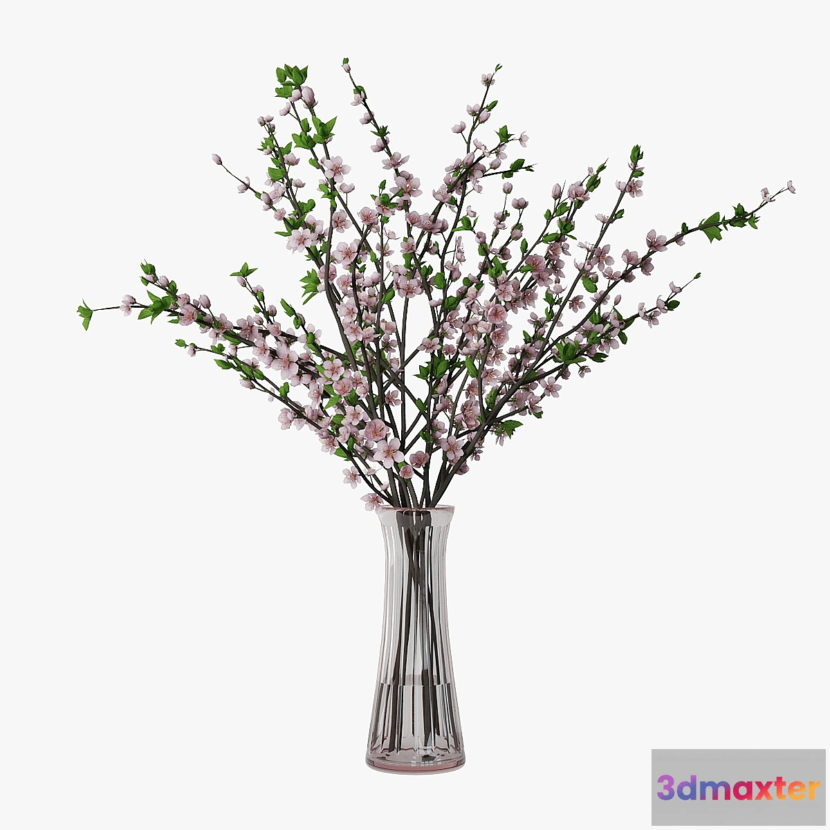 1319136 - Plum blossom 02 3D Max