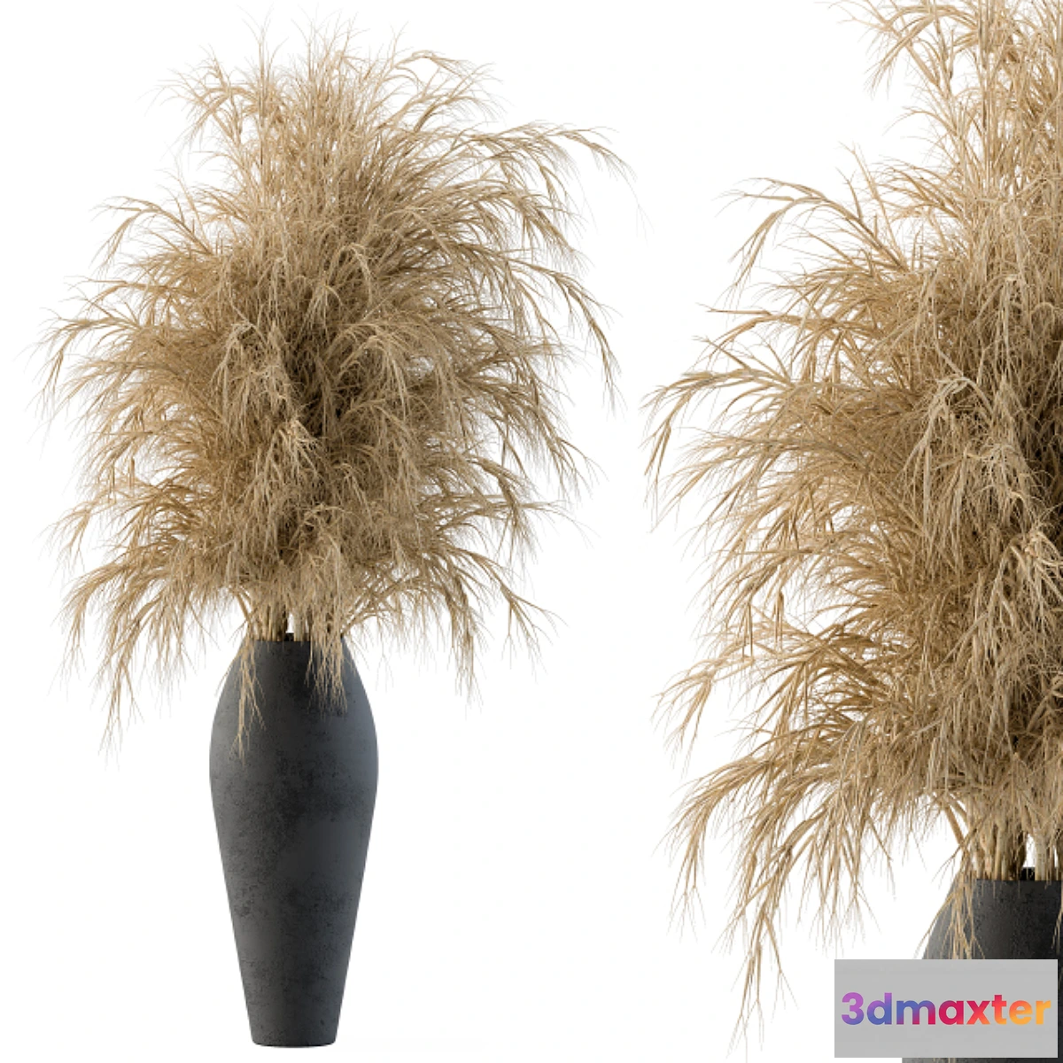 1320563 - Dry plants - No.2 3D Max