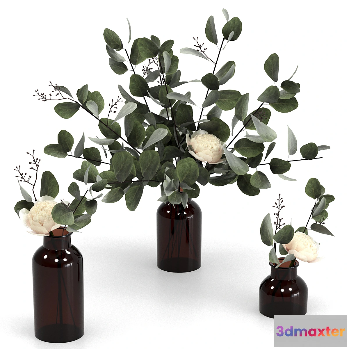1323359 - Eucalyptus bouquets 3D Max