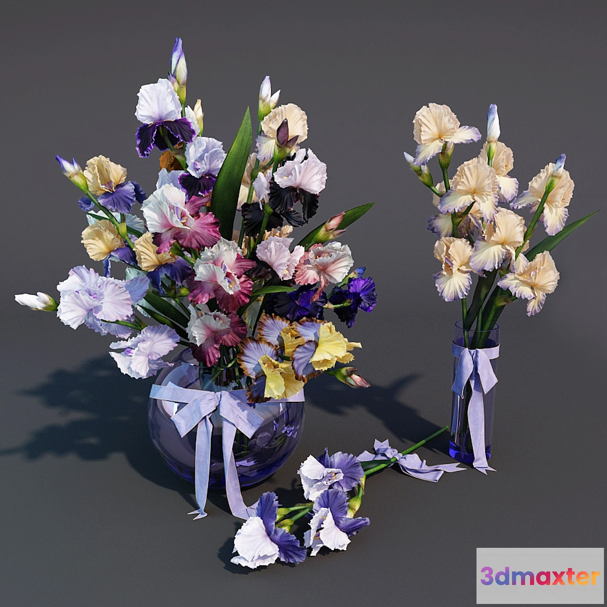 1325881 - Irises - No.3 3D Max