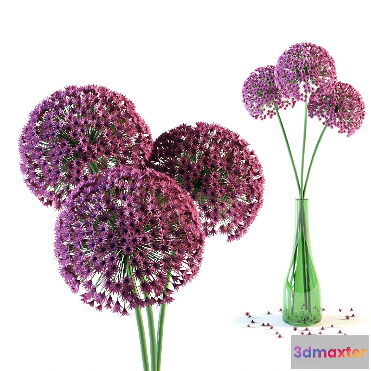 1326423 - Allium flowers in vase 3D Max