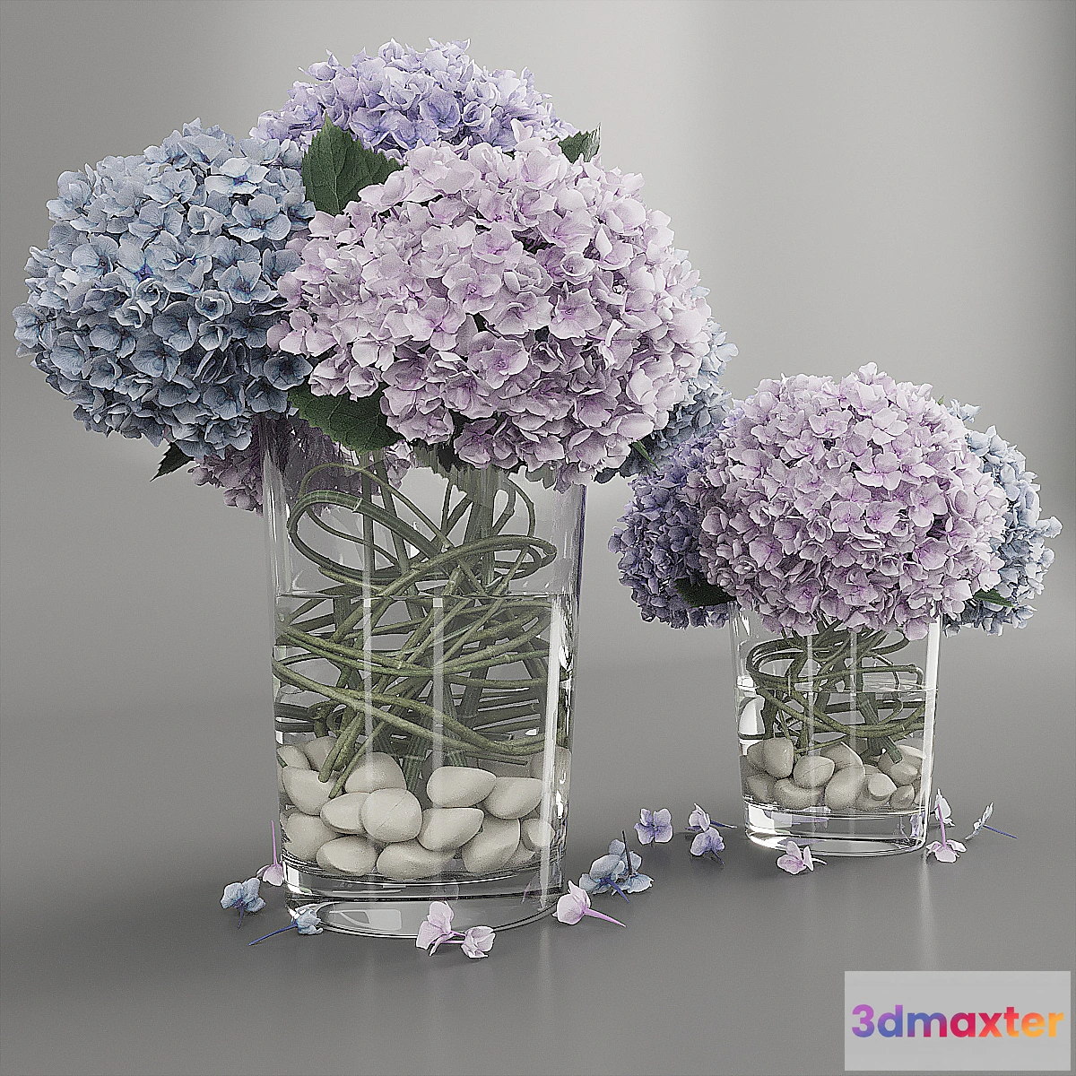 1333025 - Hydrangea purple blue 3D Max