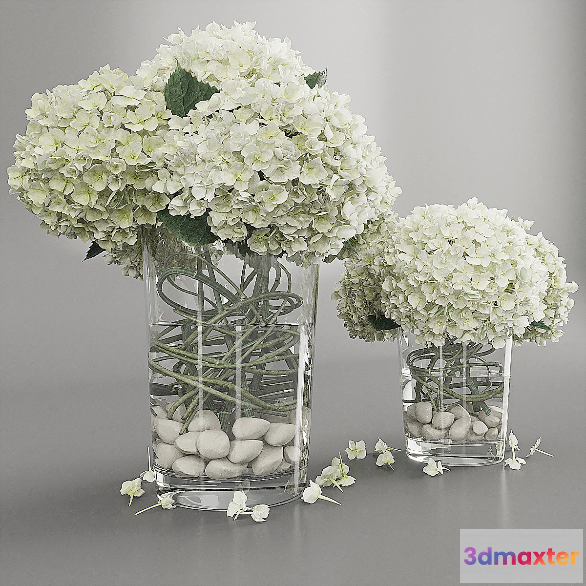 1334409 - Hydrangea white 3D Max