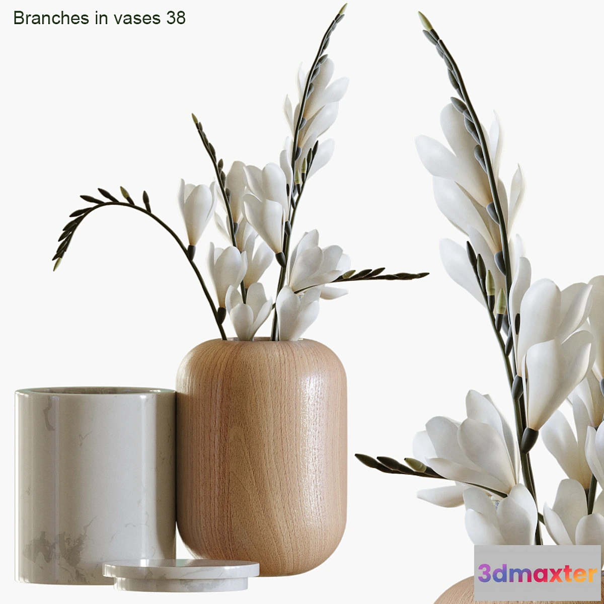 1334667 - Branches in vases 38 - No.2 3D Max