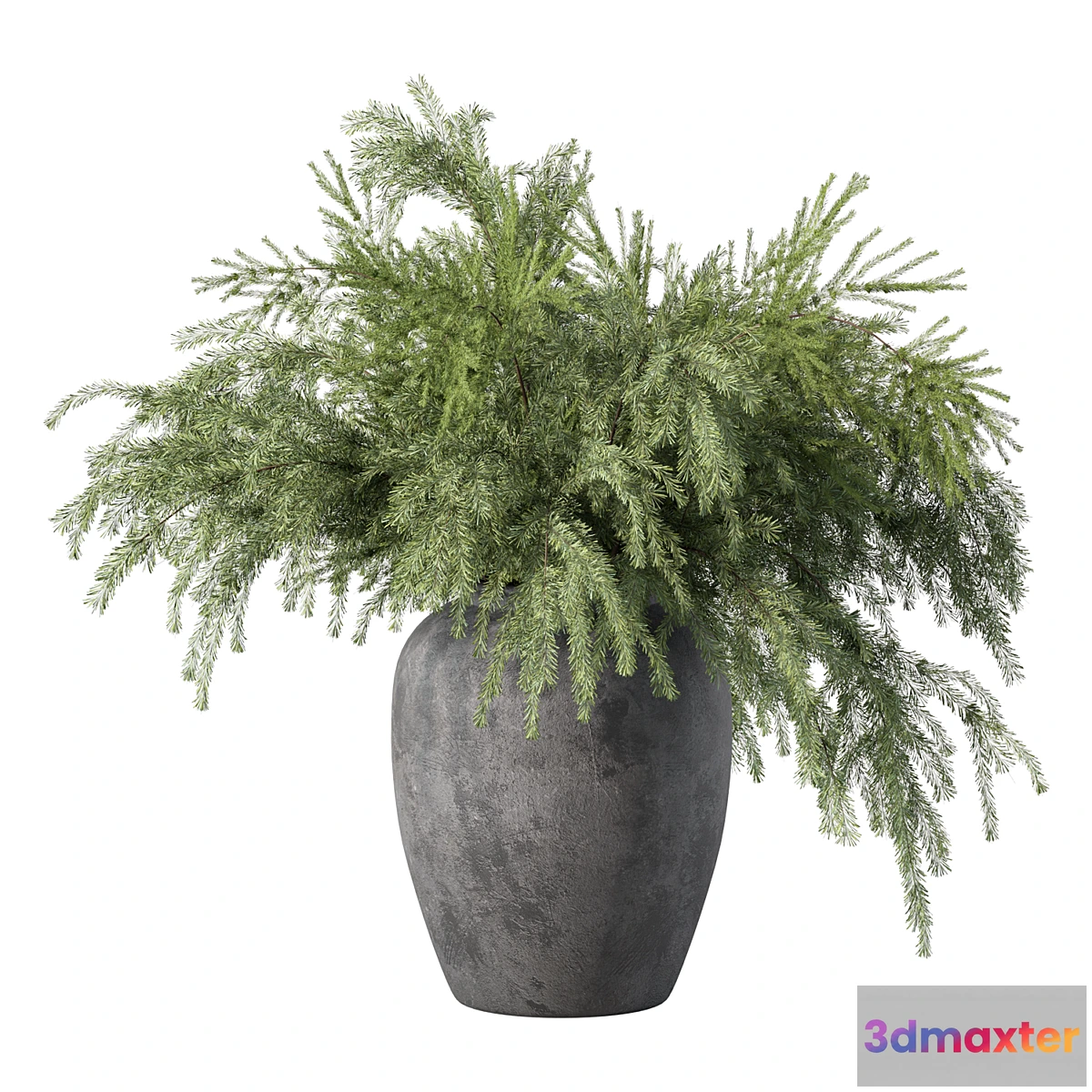 1335681 - Bouquet Pine Branches Set.27 3D Max