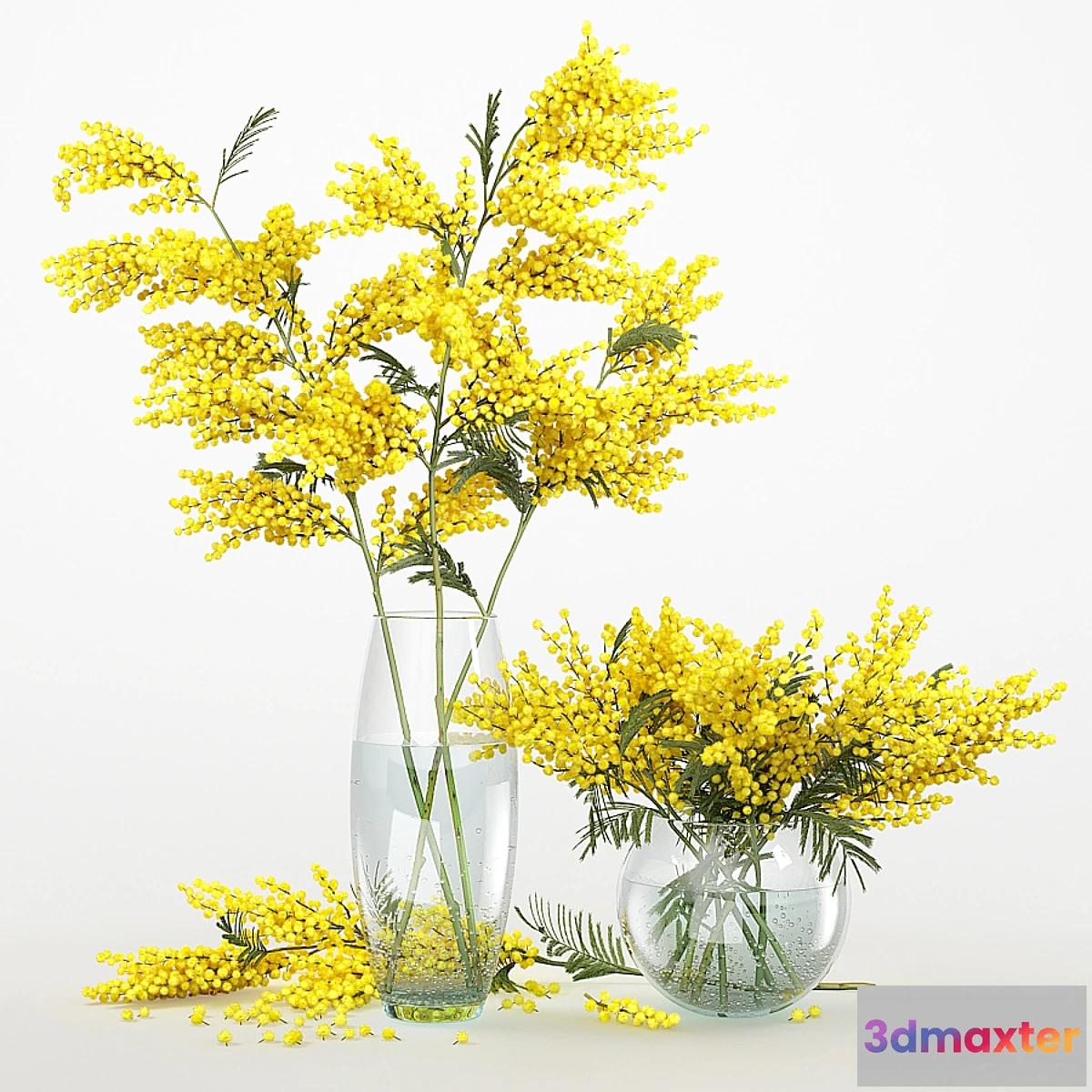 1336495 - Mimosa_3 3D Max