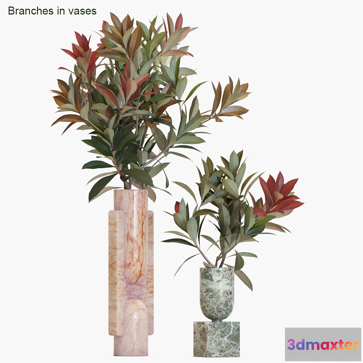 1339118 - Branches in vases # 17 - No.2 3D Max