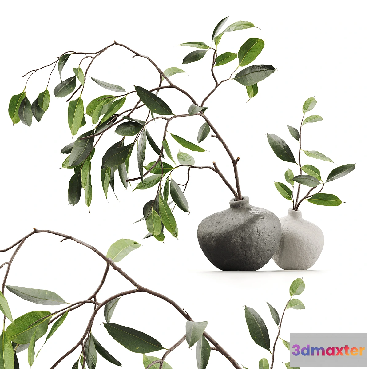 1339684 - Branches in vases 3D Max