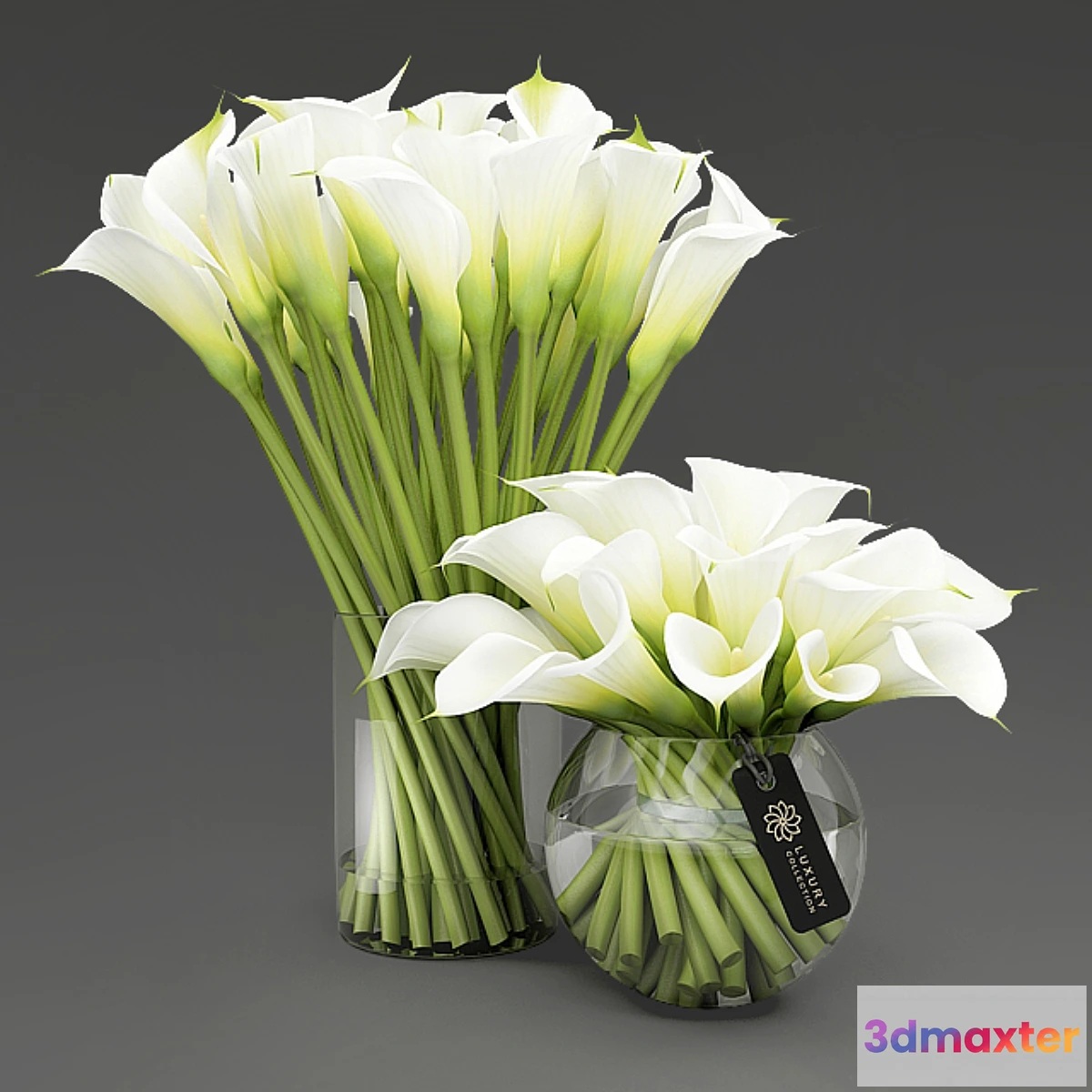 1346350 - Callas_3 3D Max