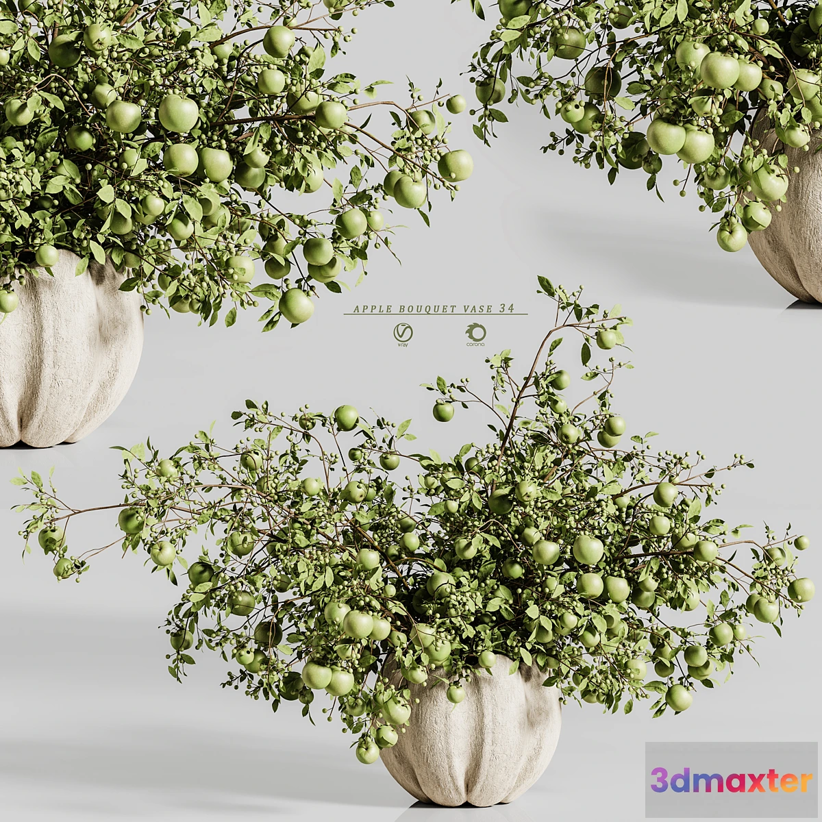 1348048 - apple plants bouquet vase 34 3D Max