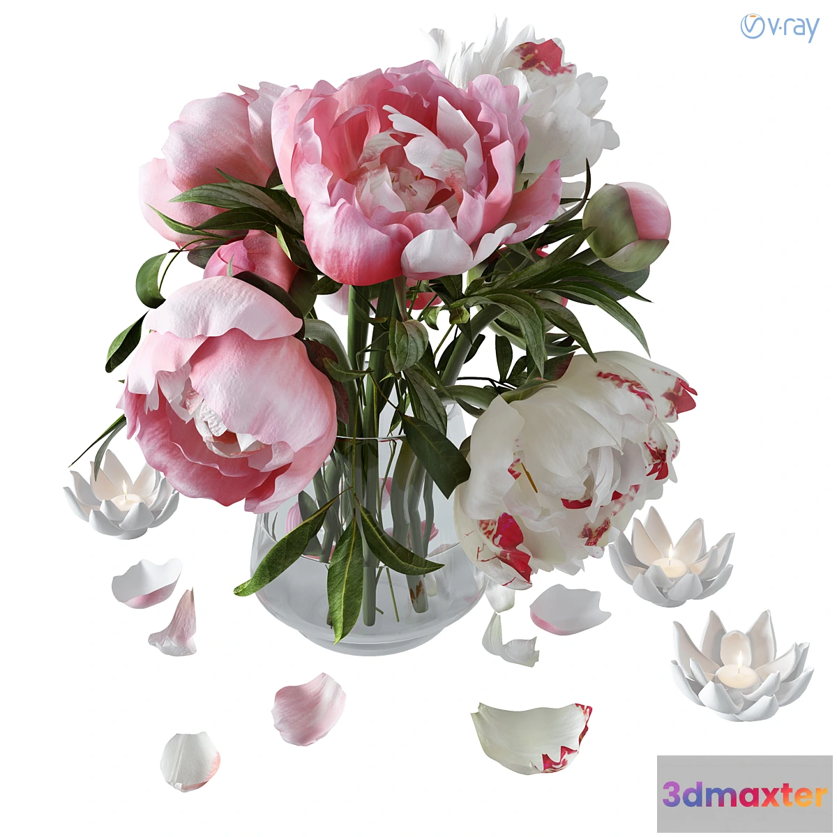 1350395 - Peonies - No.2 3D Max