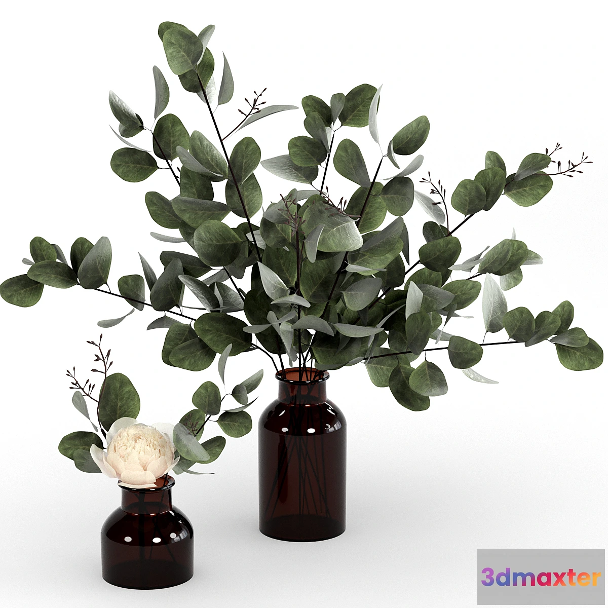 1350617 - Bouquets of eucalyptus. 3D Max