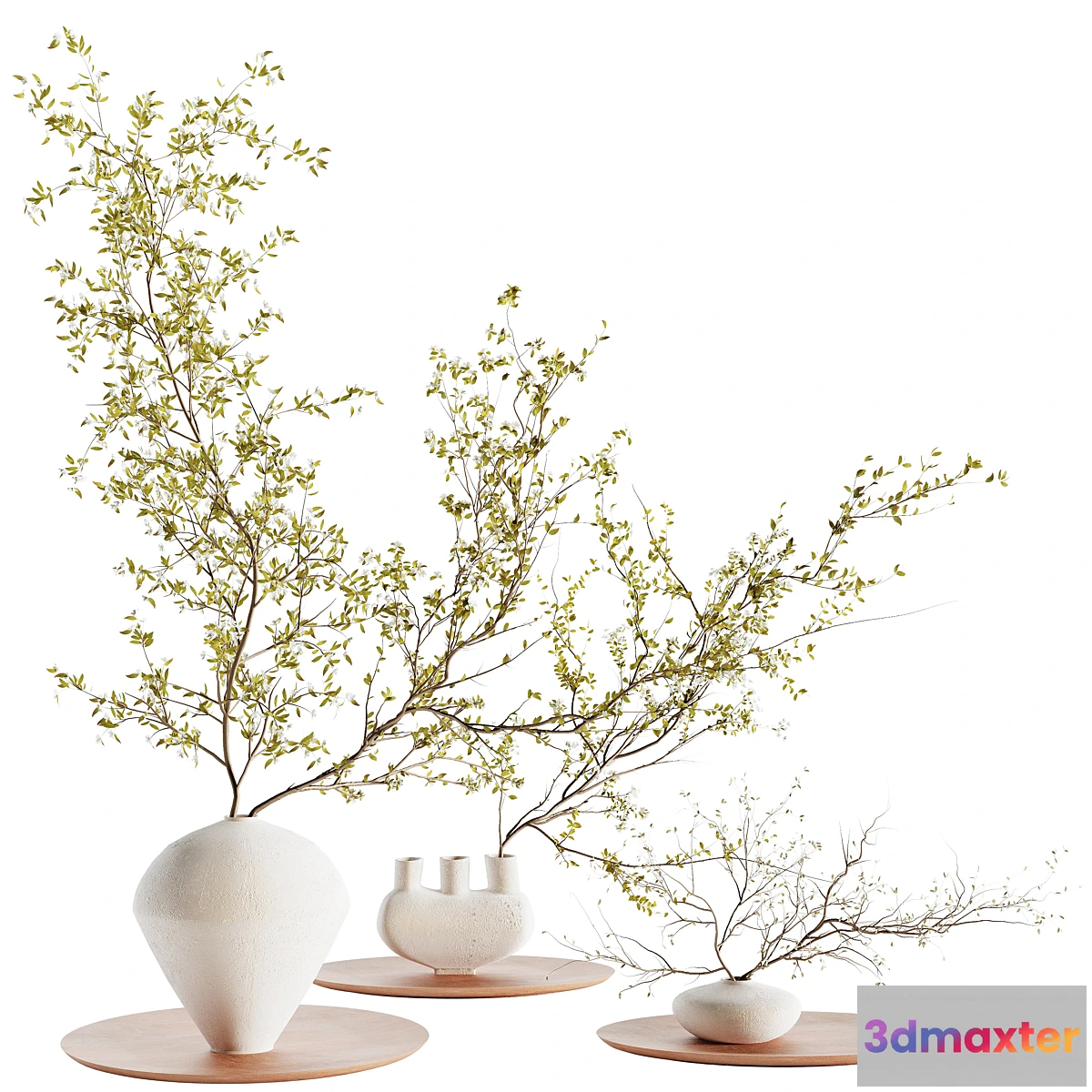 1355527 - plants collection set 5 - No.2 3D Max