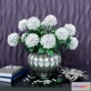 1392570 - Chrysanthemum balls 3D Max
