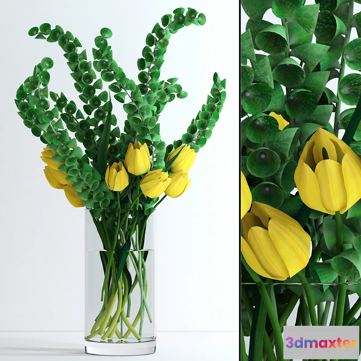 1394736 - Yellow tulips and Moluccella 3D Max