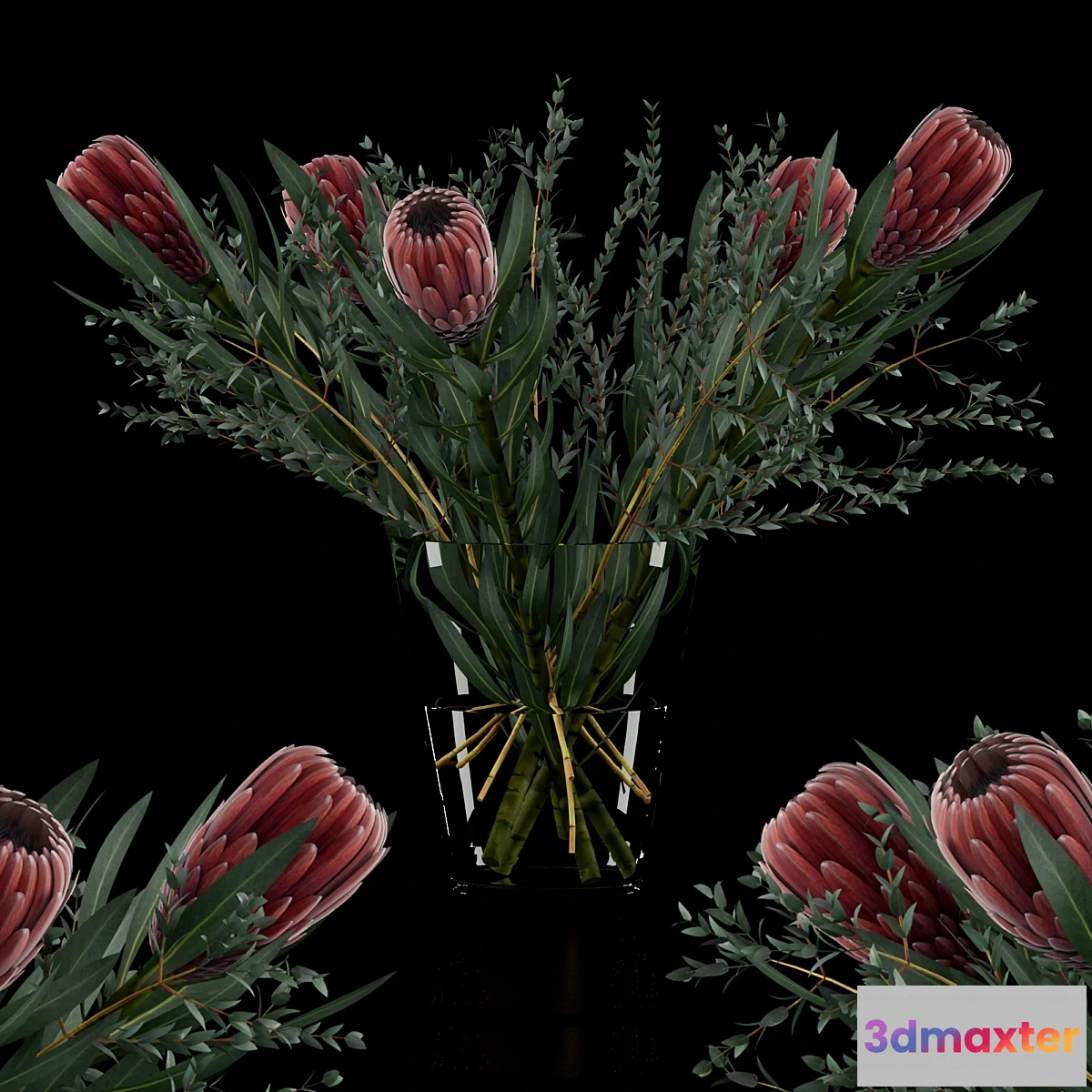 1395154 - Protea & Eucalyptus parvifolia 3D Max