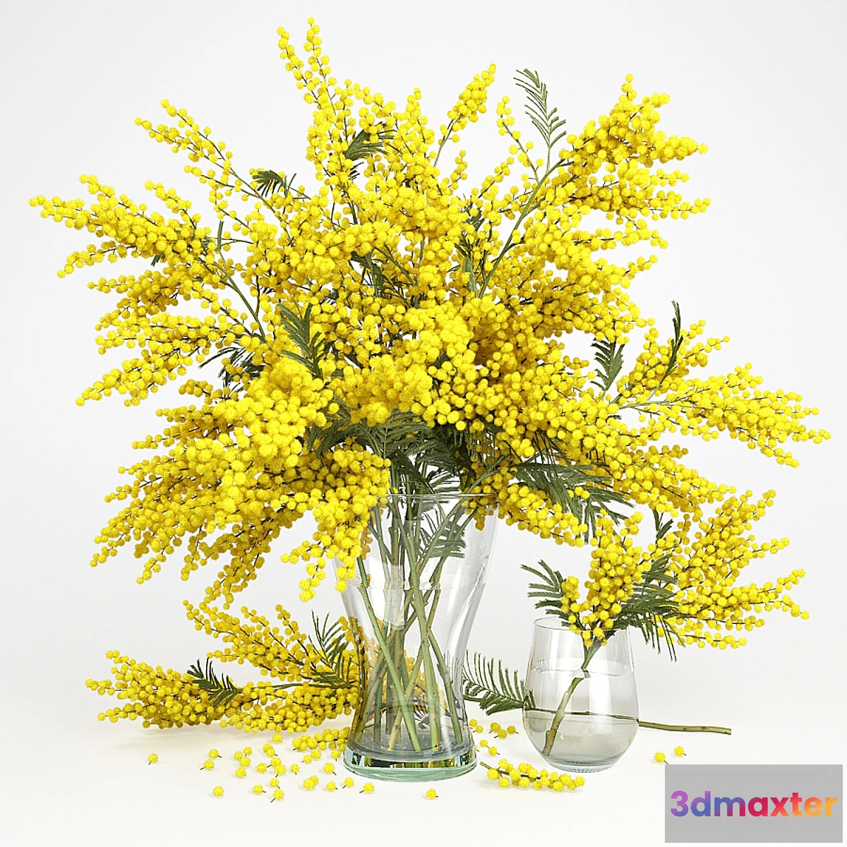 1396348 - Mimosa_1 3D Max