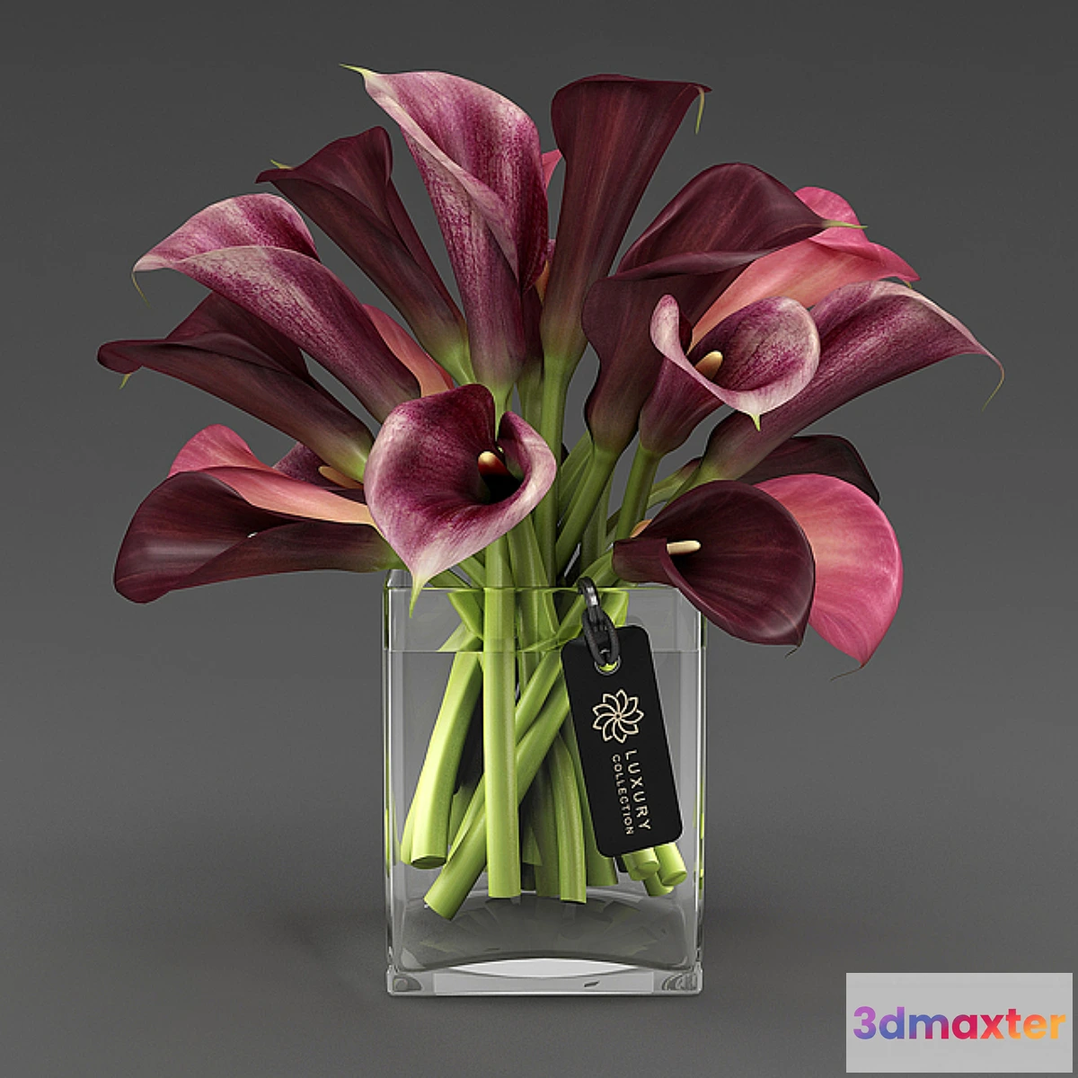 1396496 - Calla_04_4 3D Max