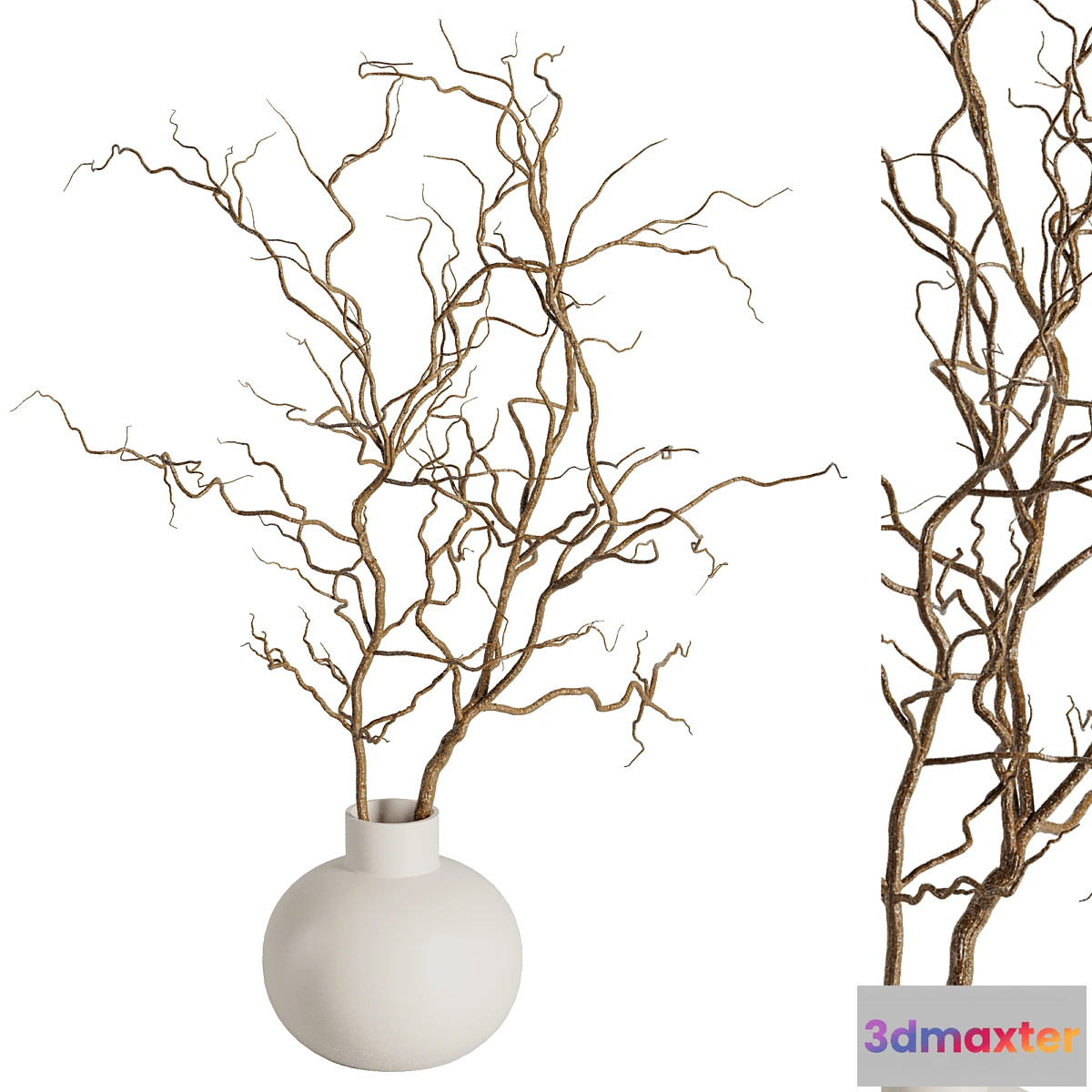 1397110 - Dry branches vase Set42 3D Max