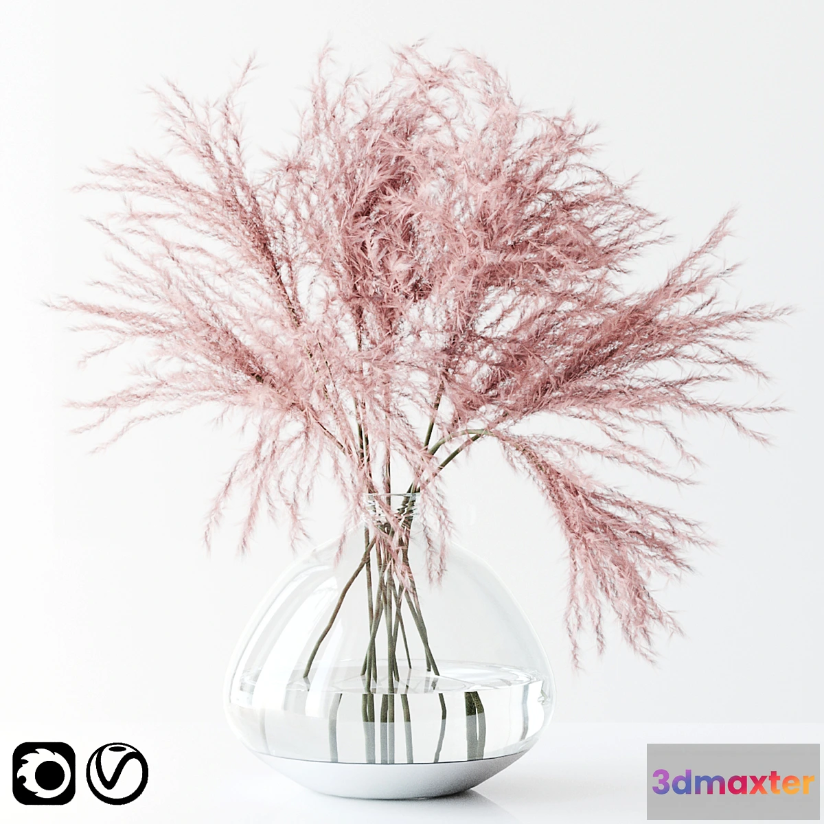 1398442 - Pink pampas 3D Max