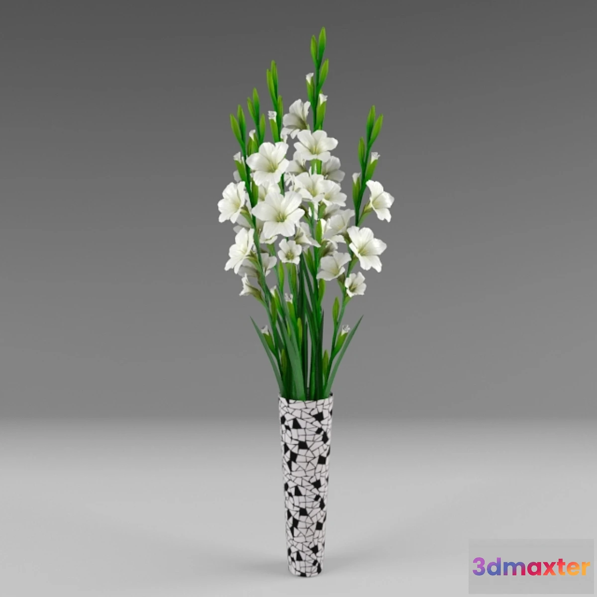 1399708 - Gladiolus 3D Max