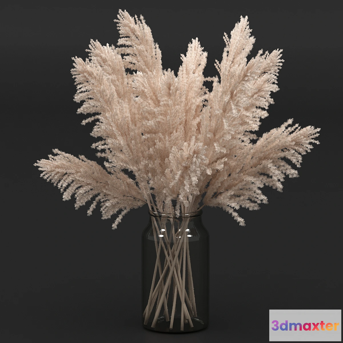 1401720 - Pampas Bouquet 3D Max