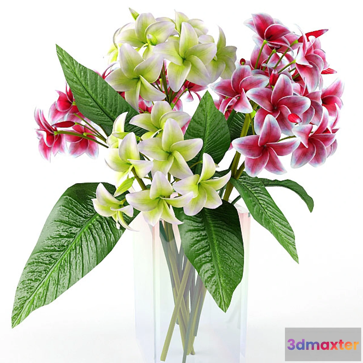 1402994 - flowers 3D Max