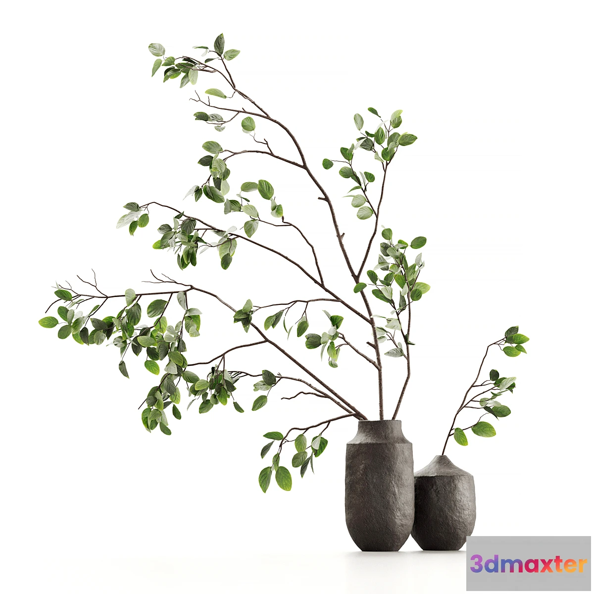 1403446 - Branches in vases 02 3D Max