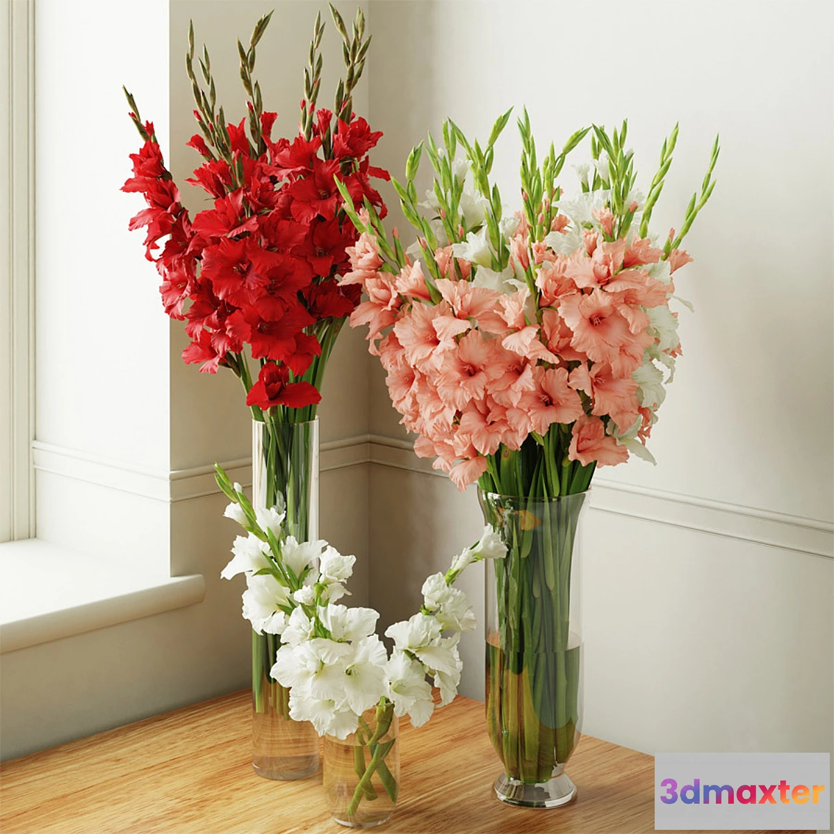 1403650 - Gladiolus 2 3D Max