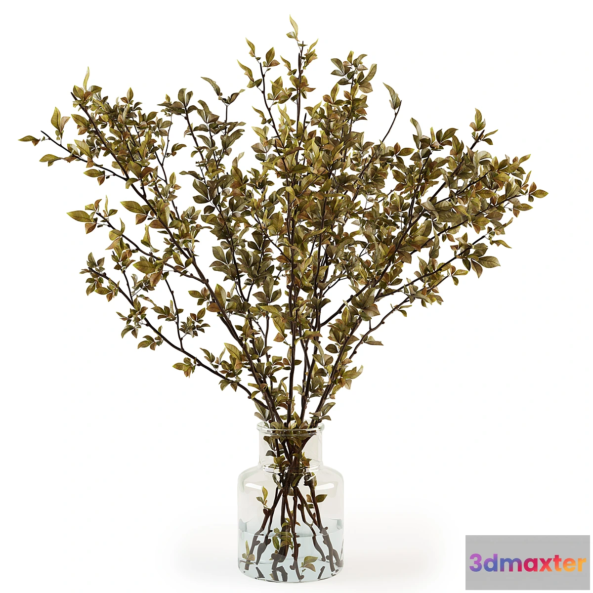 1404066 - Branches in a vase 013 3D Max