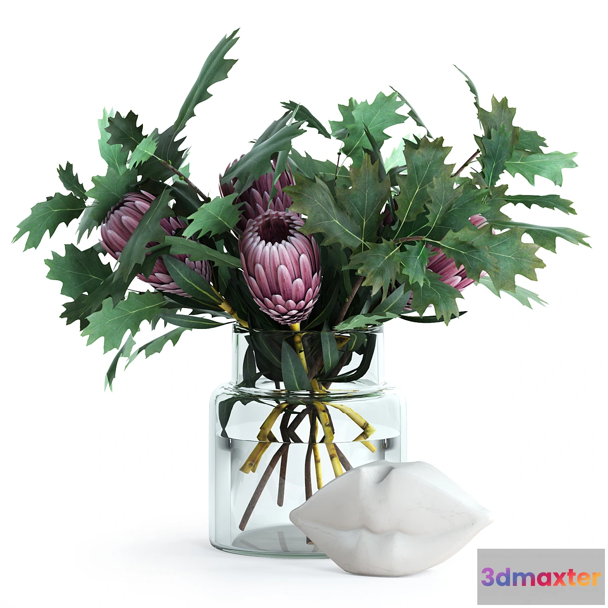 1404182 - Protea & Oak leaves 3D Max