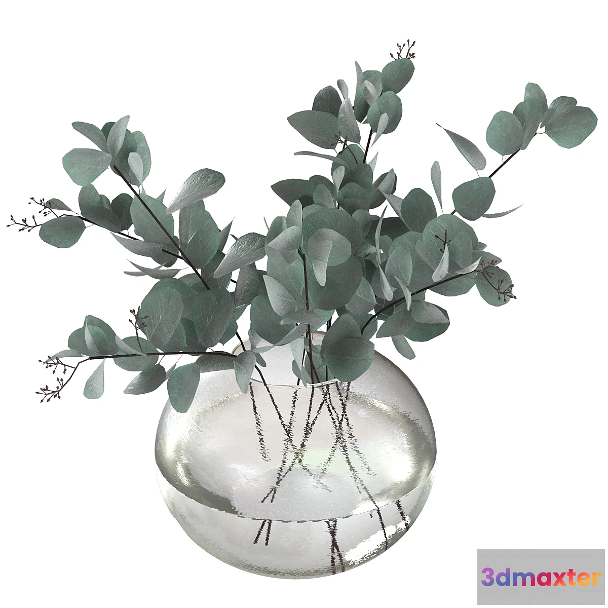 1406222 - Eucalyptus bouquet 3D Max