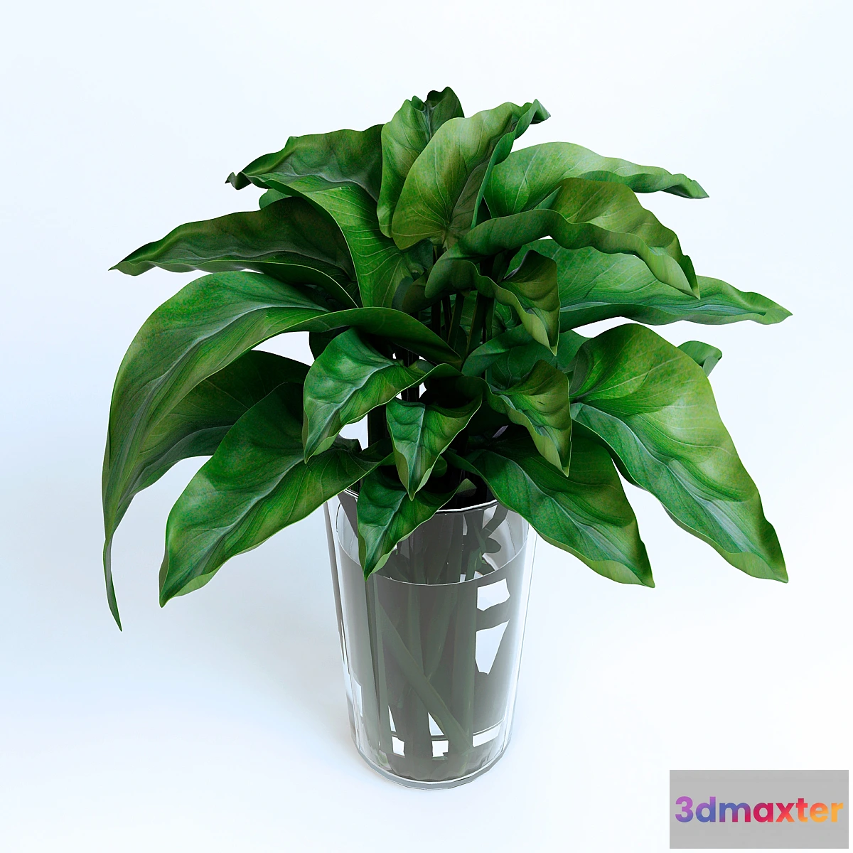 1408208 - Leaves 3D Max