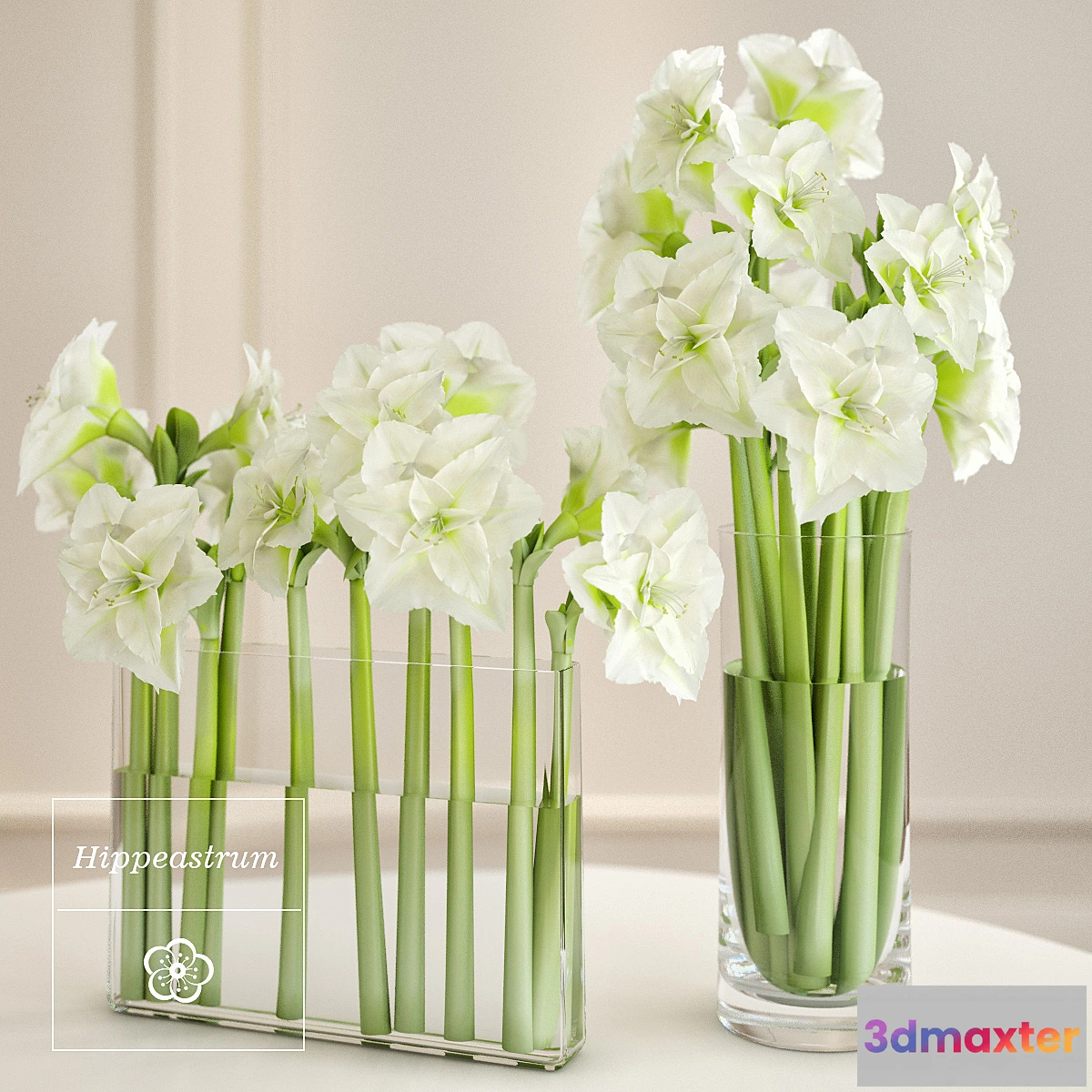 1409808 - Hippeastrum arrangement 3D Max