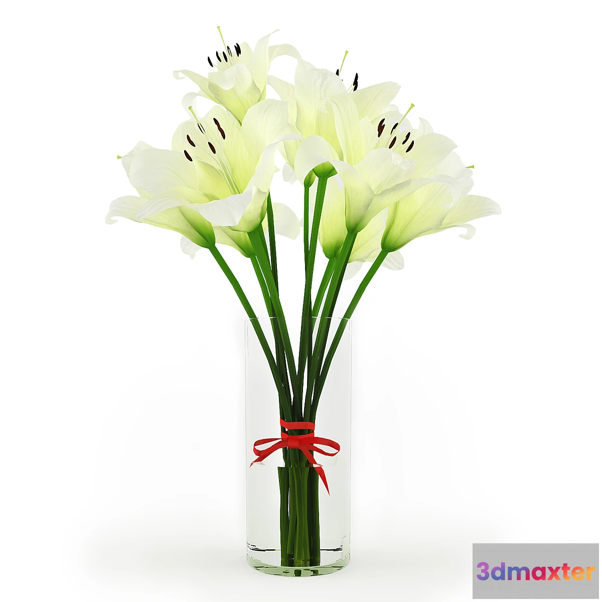 1411466 - White Lilies 3D Max