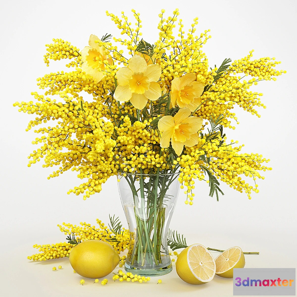 1413590 - Mimosa_2 3D Max