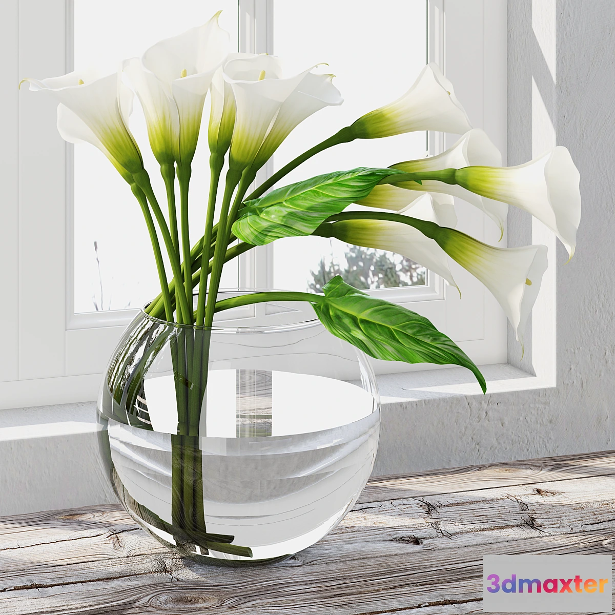 1413600 - Calla Lily 7 3D Max