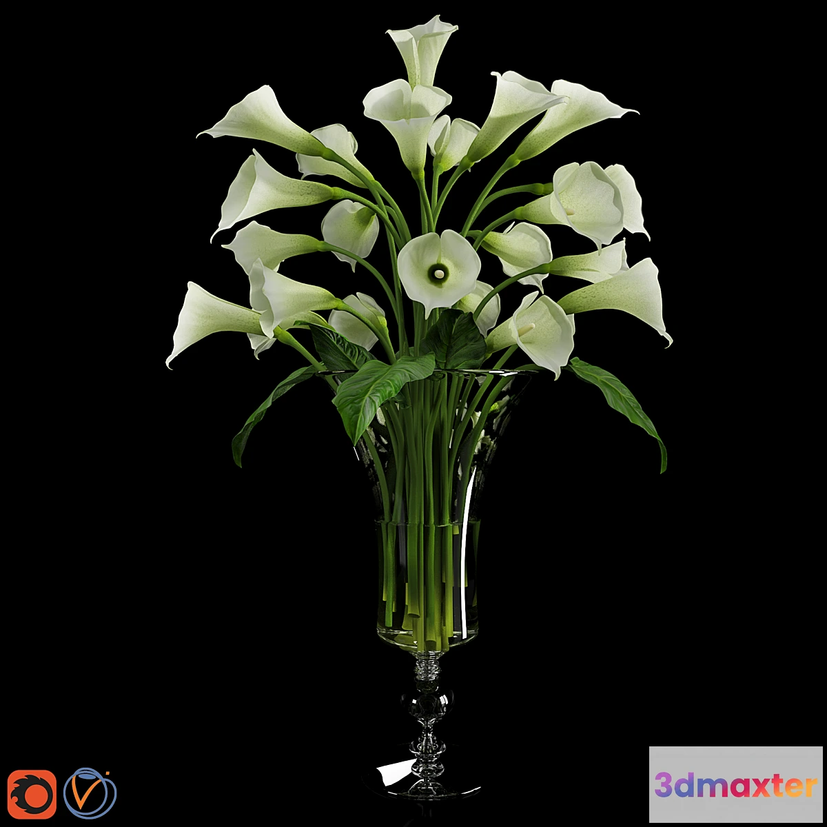1413870 - Calla Lily 3 3D Max