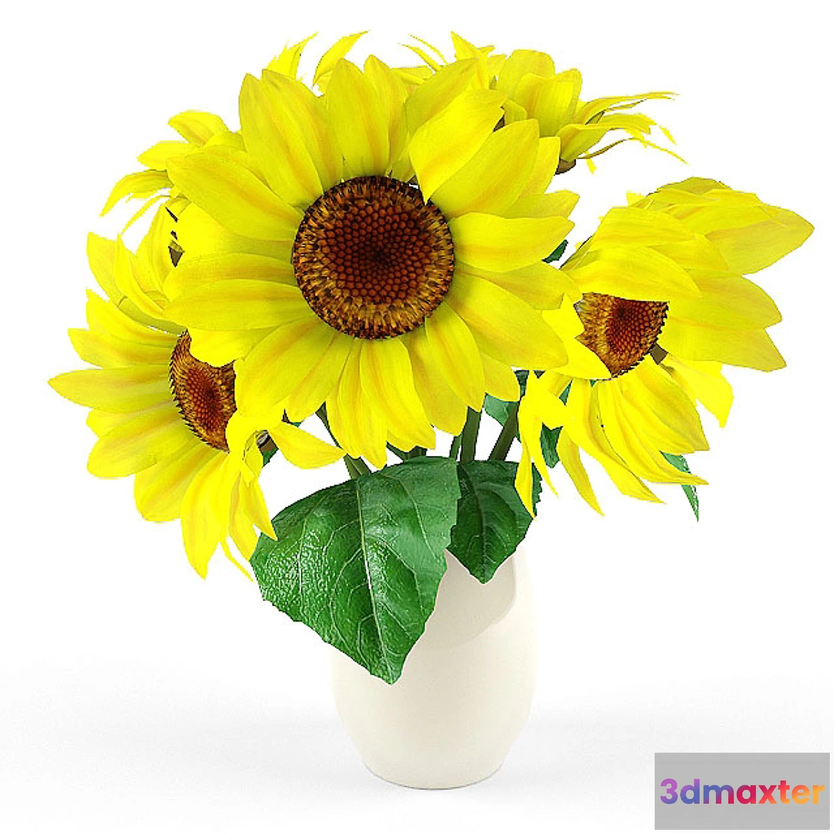 1413946 - sunflower 3D Max