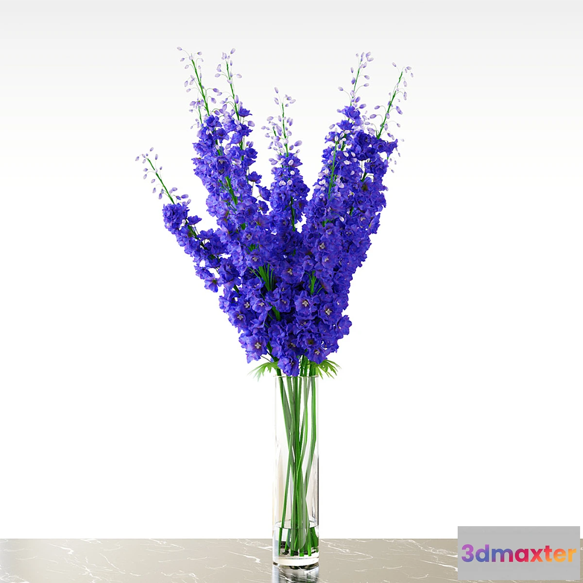 1414140 - Delphinium  Blue 3D Max