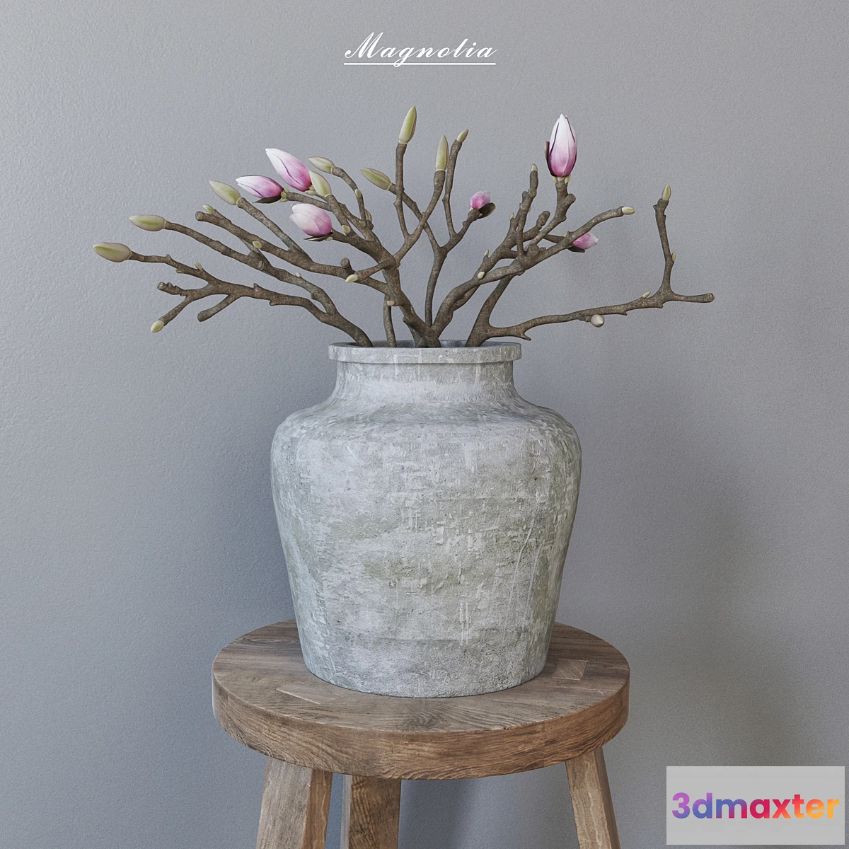 1414600 - Magnolia in concrete vase 3D Max