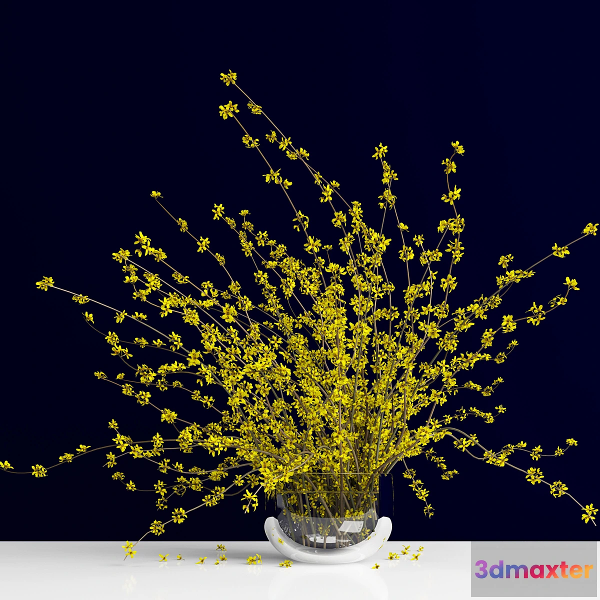 1416966 - Forsythia _ Forsythia 3D Max